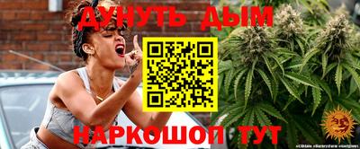 крисы Гай