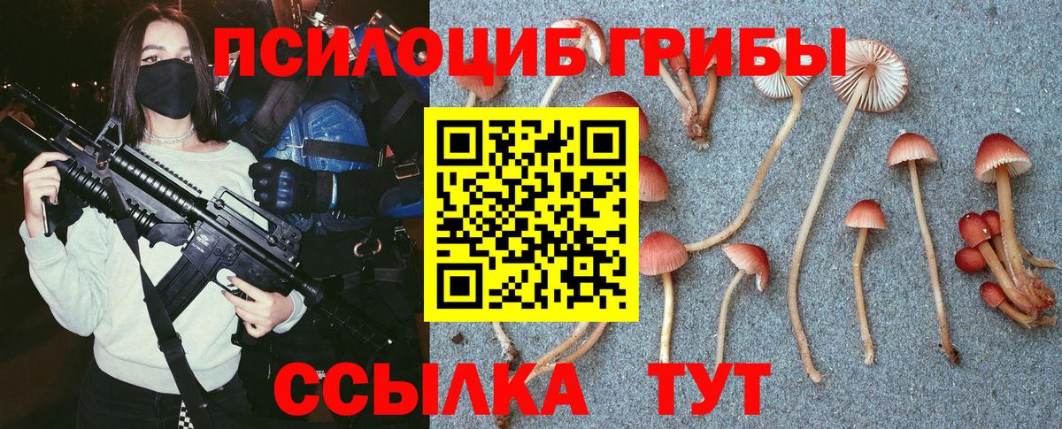 Псилоцибиновые грибы MAGIC MUSHROOMS Белебей