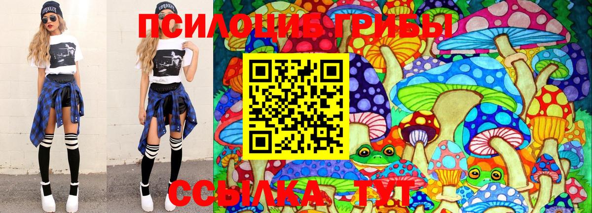 Белебей  Галлюциногенные грибы Cubensis  Вход с VPN 